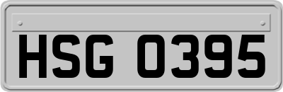 HSG0395