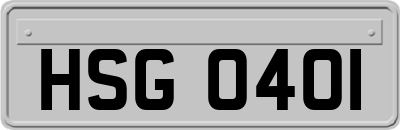 HSG0401