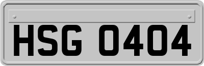 HSG0404