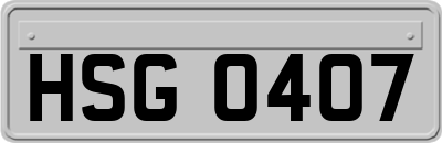 HSG0407
