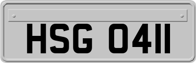 HSG0411