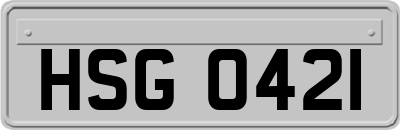 HSG0421