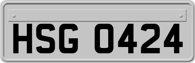 HSG0424