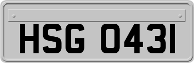 HSG0431
