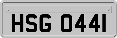 HSG0441