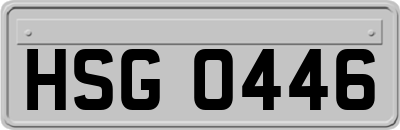 HSG0446