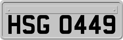 HSG0449