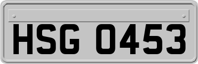 HSG0453