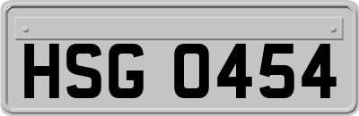 HSG0454
