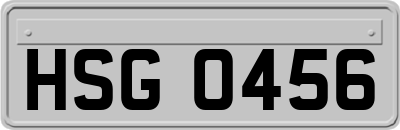HSG0456