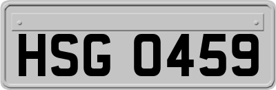 HSG0459