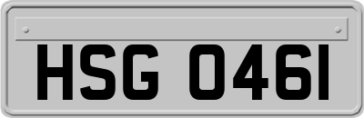HSG0461