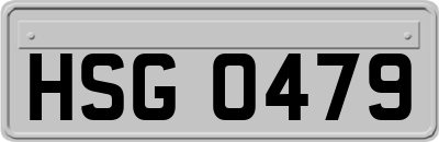 HSG0479