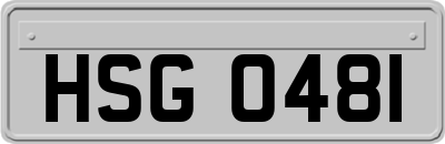 HSG0481