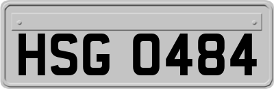 HSG0484