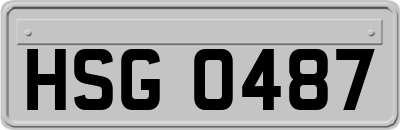 HSG0487