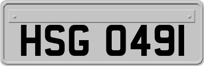 HSG0491