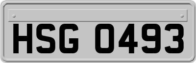 HSG0493