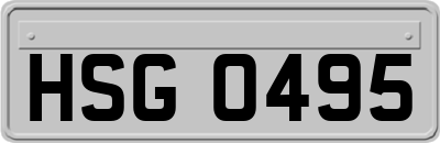 HSG0495