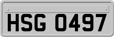 HSG0497
