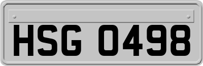 HSG0498