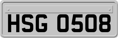 HSG0508