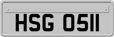 HSG0511