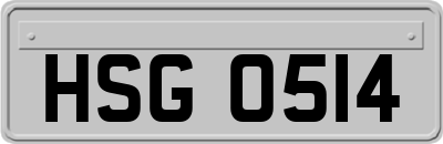 HSG0514