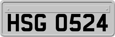HSG0524