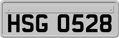 HSG0528