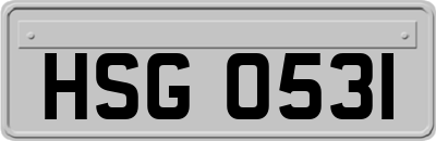 HSG0531