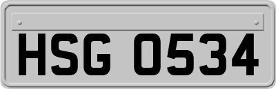 HSG0534