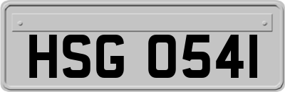 HSG0541