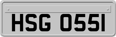 HSG0551
