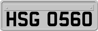 HSG0560