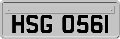 HSG0561