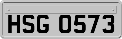 HSG0573