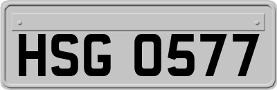 HSG0577