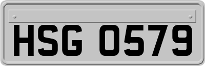 HSG0579
