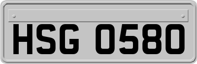 HSG0580