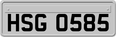 HSG0585
