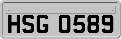 HSG0589