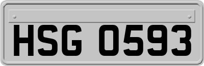 HSG0593