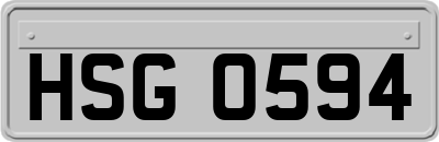 HSG0594