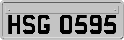 HSG0595