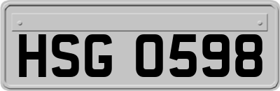 HSG0598