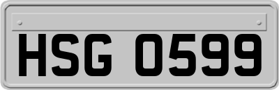 HSG0599