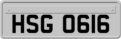 HSG0616