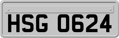 HSG0624