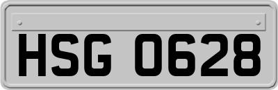 HSG0628